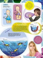 0049973138_zazraky-lidskeho-tela-a101f0f