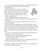 0050143937_ohnivy-kaminek-a101f0f18961-l