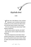 0049973328_mocnejsi-nez-mec-a101f0f18868