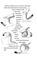 0049973328_mocnejsi-nez-mec-a101f0f18868