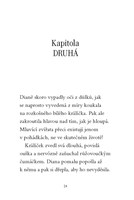 0041336636_kouzelny-kralicek-strazce-kli