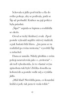 0041336636_kouzelny-kralicek-strazce-kli