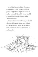 0041336636_kouzelny-kralicek-strazce-kli