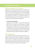 0052839392_kdv0714_prvni-a-posledni-045.