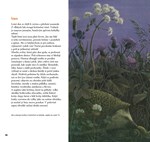 0051873549_priroda-od-jara-do-zimy-a101f