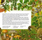 0051873549_priroda-od-jara-do-zimy-a101f