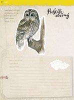 0049126163_Jak-pozorovat-ptaky-listovani