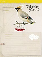 0049126163_Jak-pozorovat-ptaky-listovaní