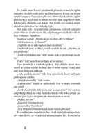 0049595319_jedno-manzelstvi-mc-A101V0F18