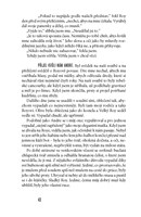 0049595319_jedno-manzelstvi-mc-A101V0F18