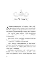 0050894420_spirit-animals-soumrak-strazc