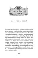 0051298801_drak-s-cokoladovym-srdcem-a10