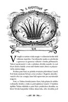 0044448406_carodol-2-karpatsky-knize-a10