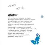 0050955380_medvidek-v-lese-a101f0f19320-