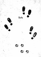 0046077946_Zahada_plachetnice_liberty_uk