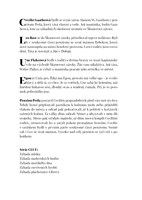 0046077946_Zahada_plachetnice_liberty_uk