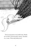 0050640750_max-kocici-detektiv-zahadny-p