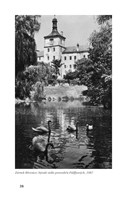 0049594167_doma-je-vsude-A101V0F18731-li