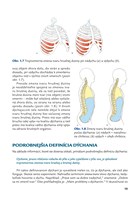 0055164569_B102L1F15875-Joga-anatomia-01