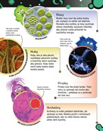 0020365377_bakterie_B102F1F15642_list_2.