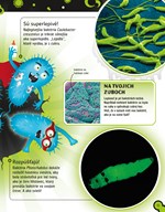 0020365377_bakterie_B102F1F15642_list_4.