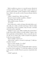 0050469984_divky-ktere-slysely-plakat-mo