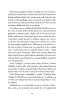 0015284445_zasa_pribeh_vynimocneho psa_B