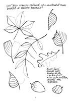 0038808786_grafomotorika-ferda-a101f0f14