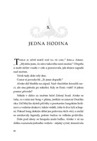 0050894422_Spirit-Animals-Soumrak-strazc