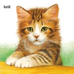 0057646474_mladatka-lockerova-leporelo-a