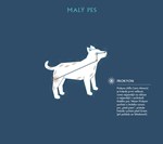 0051584909_hvezdna-oblohla-a101f0f19627-