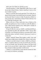 0043019303_Temné-nadání-Padle-mesto-a101