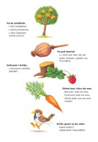 0051170420_najkrajsie-slovenske-hadanky-