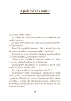 0054205243_pet-rocnich-obdobi-A101V0F203