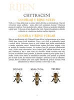 0034974346_kz0322-zaciname-vcelarit-032.