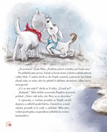 0055336402_kdv0742-misa-promokle-kote-03