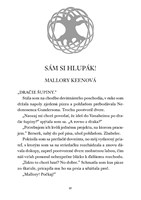 0055164062_magnus-chase-9-z-deviatich-sv