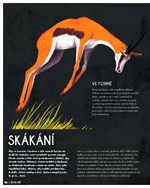 0052923331_kosti-a10110f20008-list-01.jp