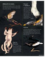 0052923331_kosti-a10110f20008-list-02.jp