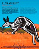 0052923331_kosti-a10110f20008-list-03.jp