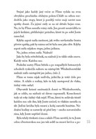 0051712131_magicky-expres-a101f0f19652-l