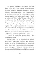 0051167227_psi-zachranarky-6-nalada-pod-