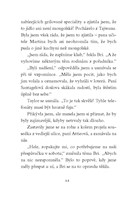 0051167227_psi-zachranarky-6-nalada-pod-