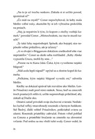 0053331708_spirit-animals-sumrak-strazco