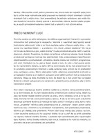 0021804733_pozitivny lider_B102L1F15876_