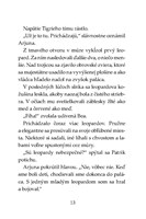 0058801753_tigri-tim-palac-striebornych-