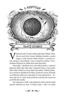 0044448408_carodol-3-ztracene-mesto-A101