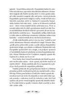 0044448408_carodol-3-ztracene-mesto-A101