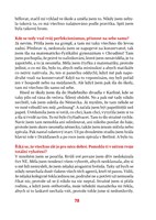 0055893394_A101V0F20976_Vyhoret muze kaz