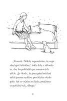 0042689369_kouzelne-stenatko-chlupaty-za